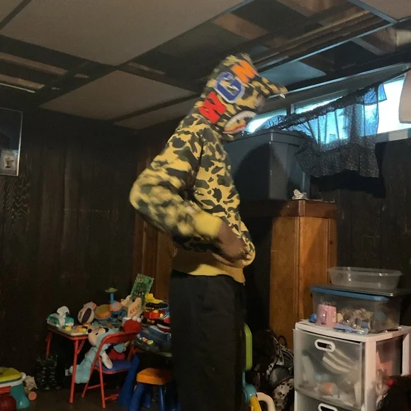 Bape hoodie